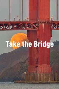 Take The Bridge (2008)