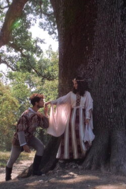 Tale of The Great Oak (2022) Tale of The Great Oak (2022)