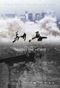 Taming the Horse (2017) Taming the Horse (2017)