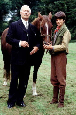 Tân ar y Comin (1994) Tân ar y Comin (1994)