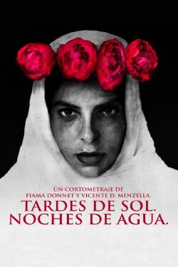 Tardes de sol. Noches de agua. (2019)