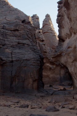 Tassili (2022) Tassili (2022)