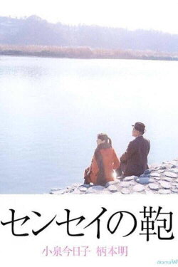 Teacher's suitcase (2003)