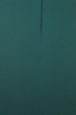 TEAL (2020)