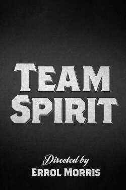 Team Spirit (2012) Team Spirit (2012)