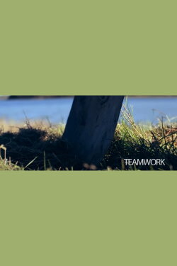 Teamwork (2017) Teamwork (2017)