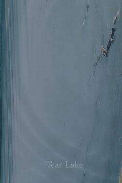 Tear Lake (2024) Tear Lake (2024)