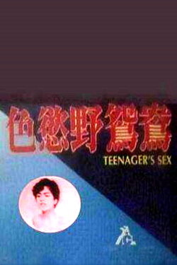 Teenager's Sex (1987)