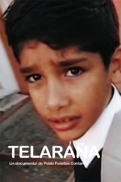 Telaraña (2019)