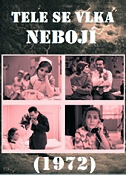 Tele se vlka nebojí (1972) Tele se vlka nebojí (1972)