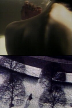 Telling Motions (1985) Telling Motions (1985)