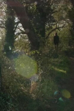 Temporal Evocation (2021)