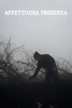 Tender Presence (2004)