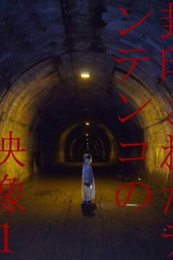 Tentenko's Sealed Video: 1 (2014)