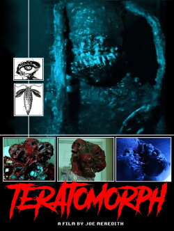 Teratomorph (2019) Teratomorph (2019)