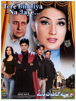 Tere Bin Jiya Na Jaye (2005) Tere Bin Jiya Na Jaye (2005)