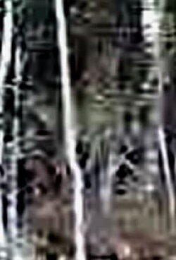 Terroir (2012)
