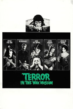 Terror in the Wax Museum (1973) Terror in the Wax Museum (1973)