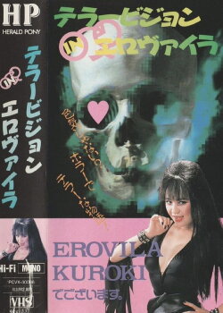 Terrorvision in Elovaira (1990) Terrorvision in Elovaira (1990)