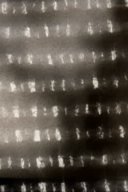 Tessitura calda (2013)