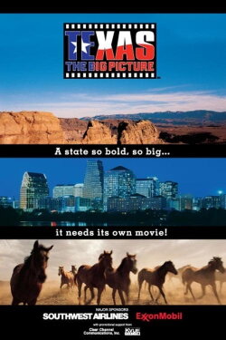 Texas: The Big Picture (2003) Texas: The Big Picture (2003)