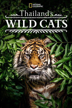 Thailand's Wild Cats (2021) Thailand's Wild Cats (2021)