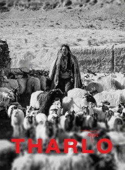 Tharlo (2015)