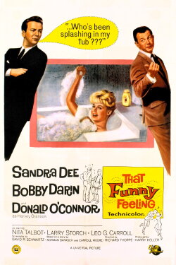 That Funny Feeling (1965) That Funny Feeling (1965)