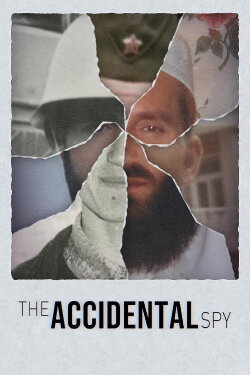 The Accidental Spy (2024) The Accidental Spy (2024)