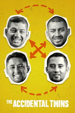 The Accidental Twins (2024) The Accidental Twins (2024)