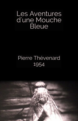 The Adventures of a Blue Fly (1954) The Adventures of a Blue Fly (1954)