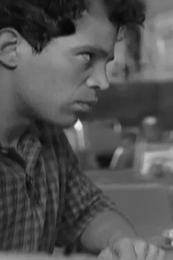 The Afternoon Has Eyes (2007) The Afternoon Has Eyes (2007)