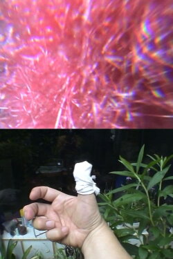 The Amazing Change of Flowers In My Little Garden (2008) The Amazing Change of Flowers In My Little Garden (2008)