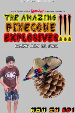 The Amazing Pinecone Explosives!!! (2020)