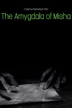 The Amygdala of Misha (2020) The Amygdala of Misha (2020)