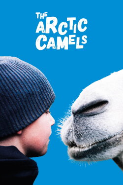 The Arctic Camels (2019) The Arctic Camels (2019)