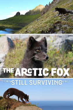 The Arctic Fox: Still Surviving (2015) The Arctic Fox: Still Surviving (2015)