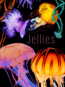 The Art of Nature: Jellies (2006)