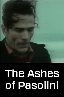 The Ashes of Pasolini (1994) The Ashes of Pasolini (1994)