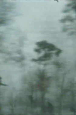 The Autobahn Poet (2006)