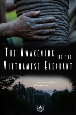 The Awakening of the Vietnamese Elephant (2022)