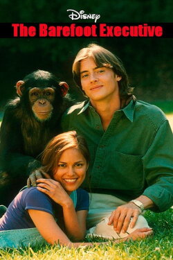 The Barefoot Executive (1995) The Barefoot Executive (1995)
