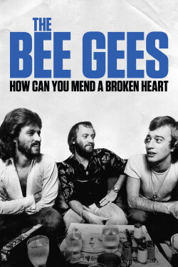 The Bee Gees: How Can You Mend a Broken Heart (2020) The Bee Gees: How Can You Mend a Broken Heart (2020)