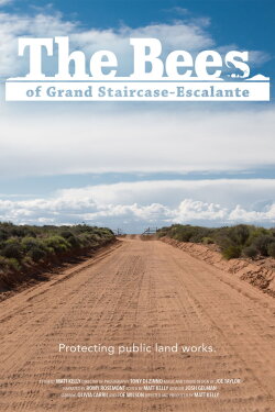 The Bees of Grand Staircase-Escalante (2020) The Bees of Grand Staircase-Escalante (2020)