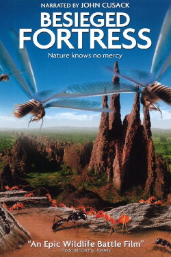 The Besieged Fortress (2006) The Besieged Fortress (2006)