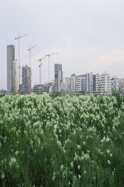 The Best City is No City at All (2020) The Best City is No City at All (2020)