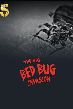 The Big Bed Bug Invasion (2023) The Big Bed Bug Invasion (2023)