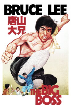The Big Boss (1971) The Big Boss (1971)