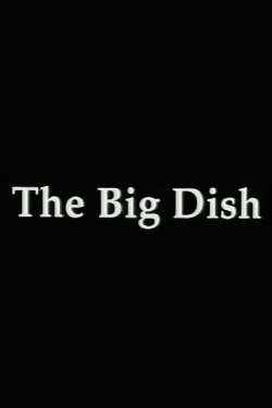 The Big Dish: Tiananmen 89 (1998) The Big Dish: Tiananmen 89 (1998)