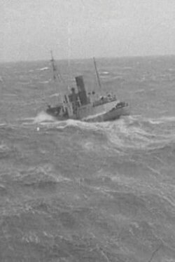 The Big Game of the Sea (1939) The Big Game of the Sea (1939)